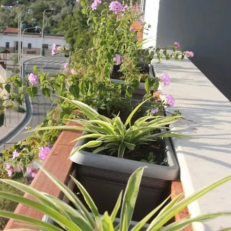 מלון Rozmarine Pellumbas